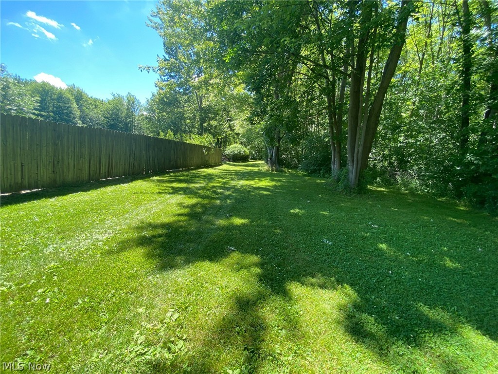 Maple Street Perry, OH 44081 - Photo 3 of 11