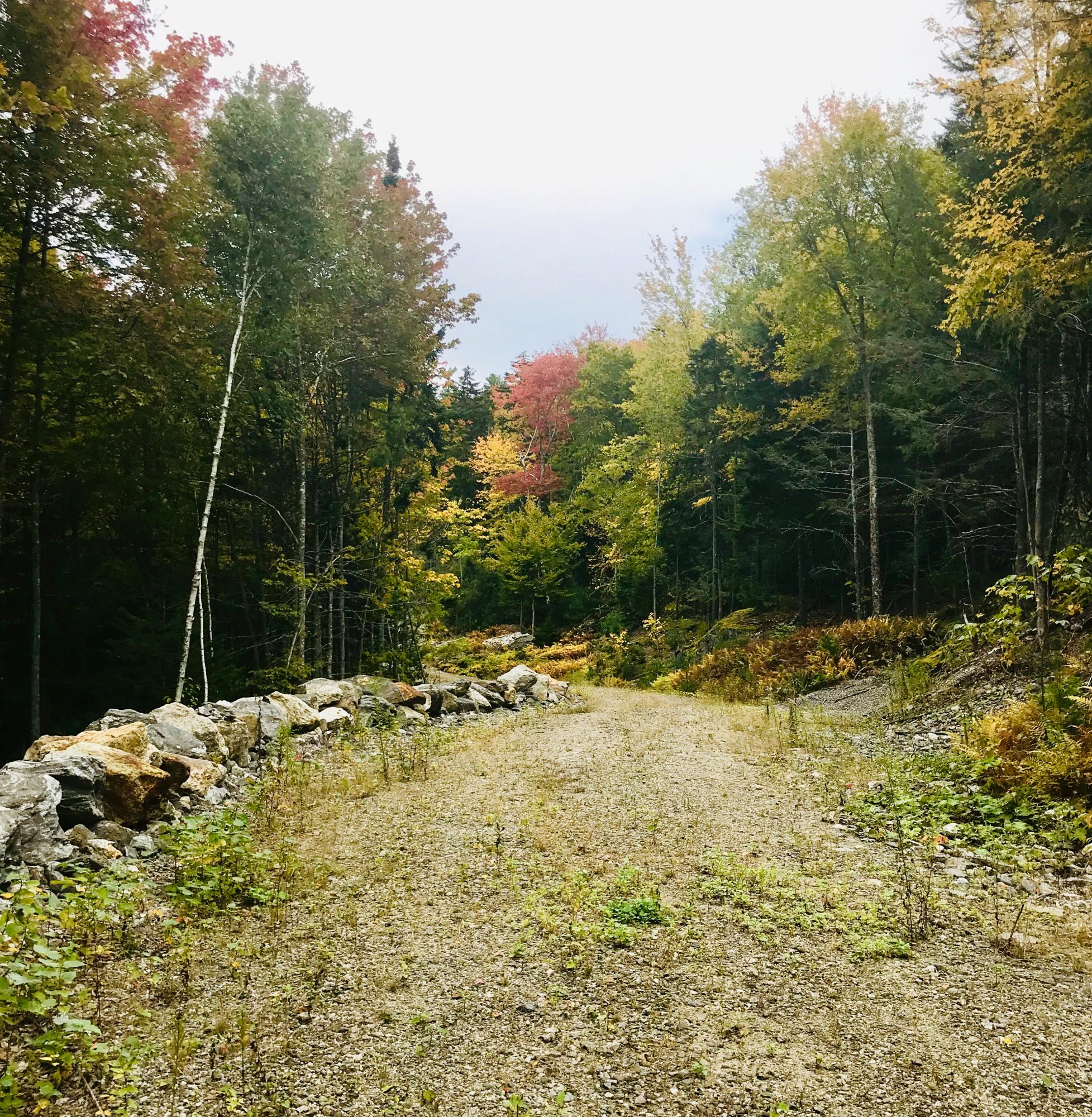 0 Holly Hill Road Harpswell, ME 04079 - Photo 5 of 16 C8E0A83B-3CA0-4869-B1A5-3A818BC4C72C