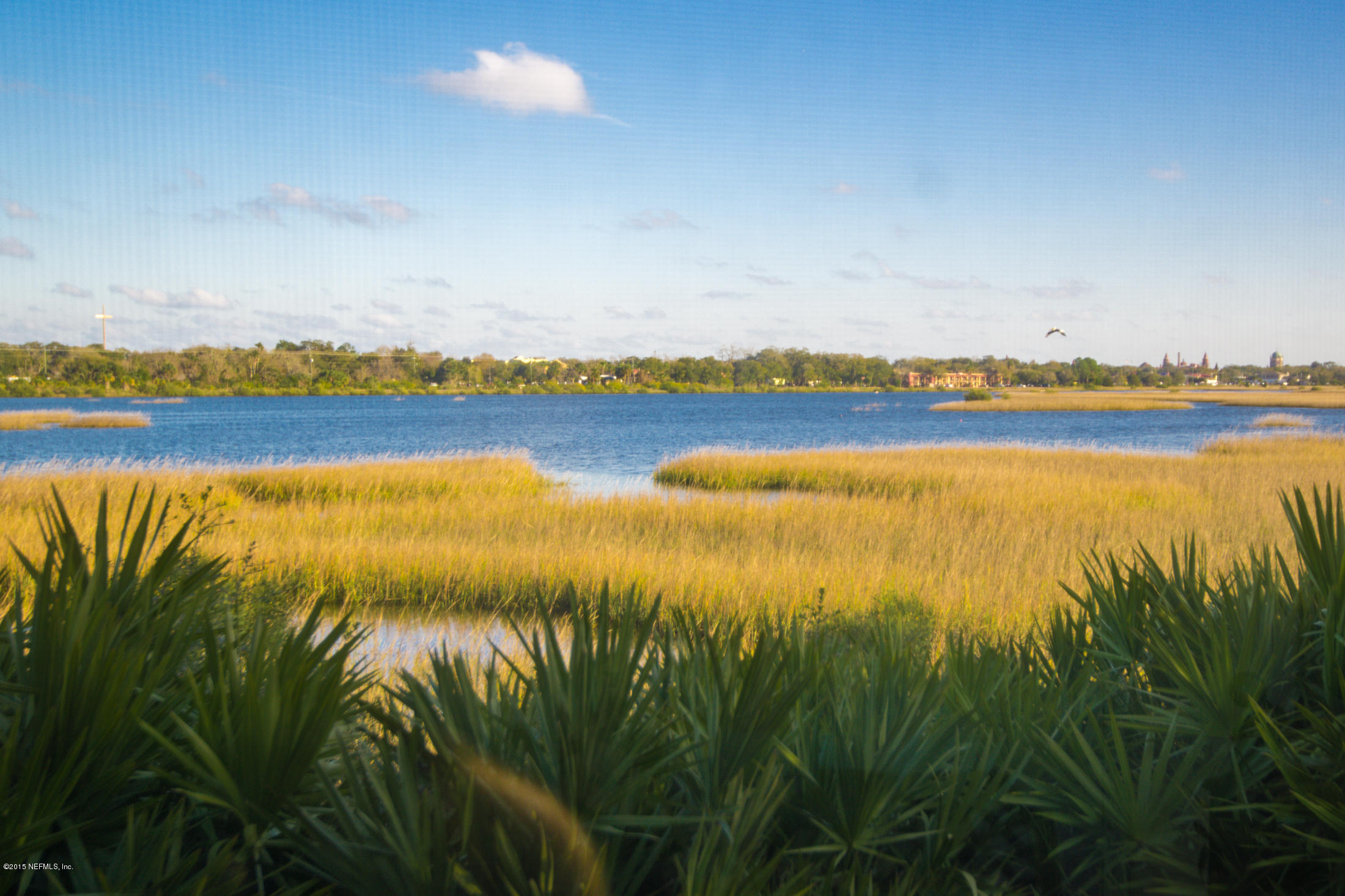 2108 Vista Cove Road St. Augustine, FL 32084 - Photo 5 of 26 2108VC_035