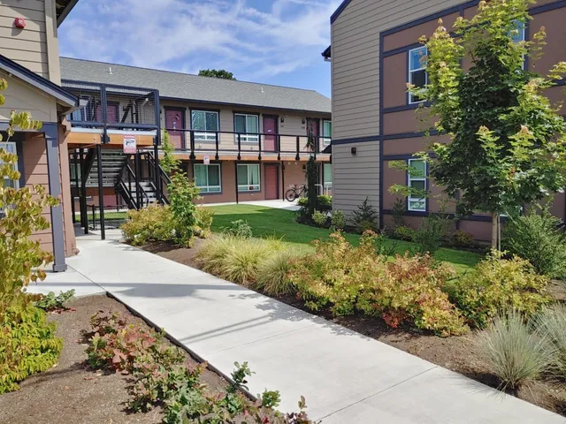 a view of a garden with a pathway