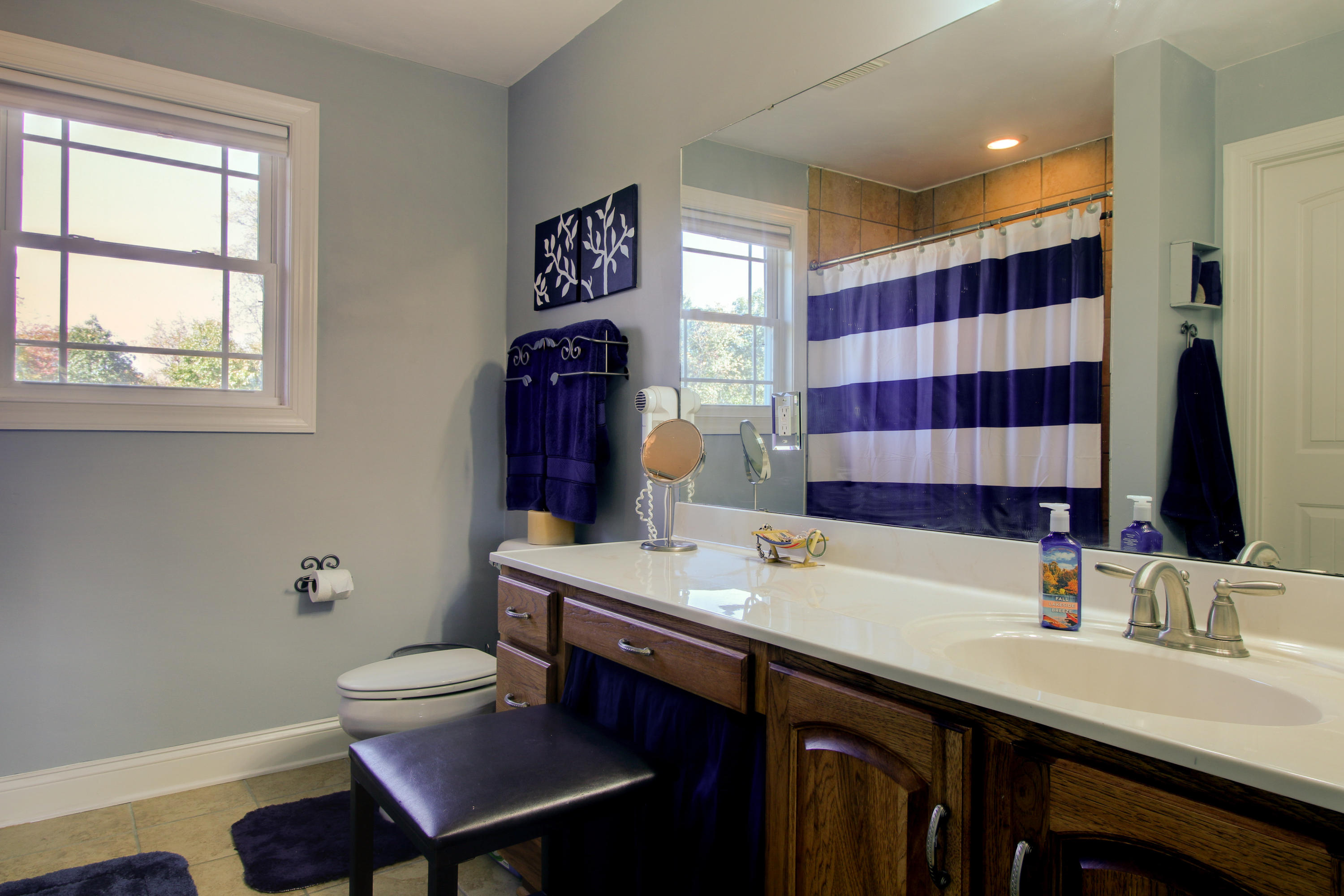 4025 Carson Road Roanoke, VA 24012 - Photo 36 of 53 Master Bath upper