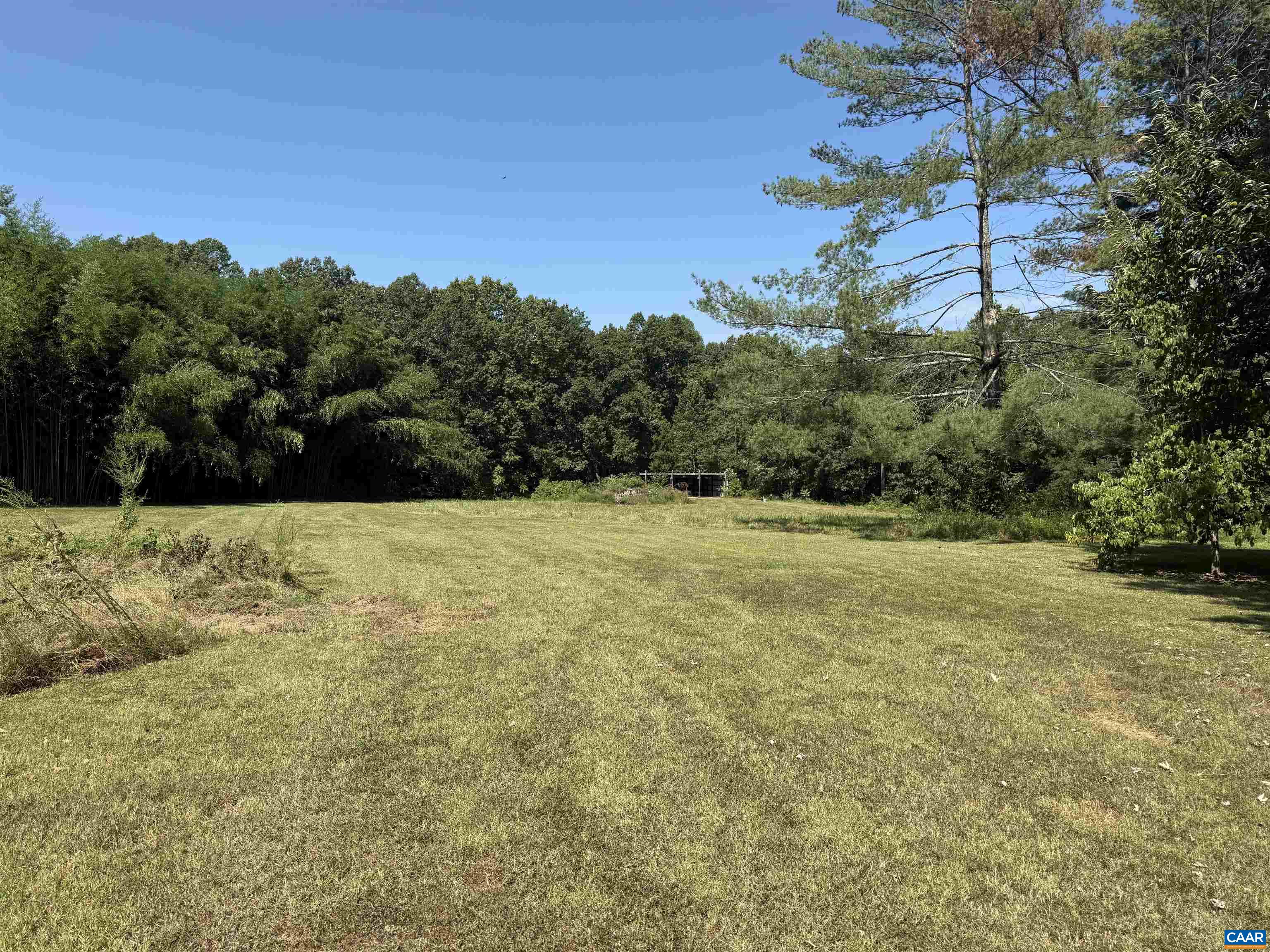 5609 New Line Road Gum Spring, VA 23065 - Photo 44 of 61 Pasture