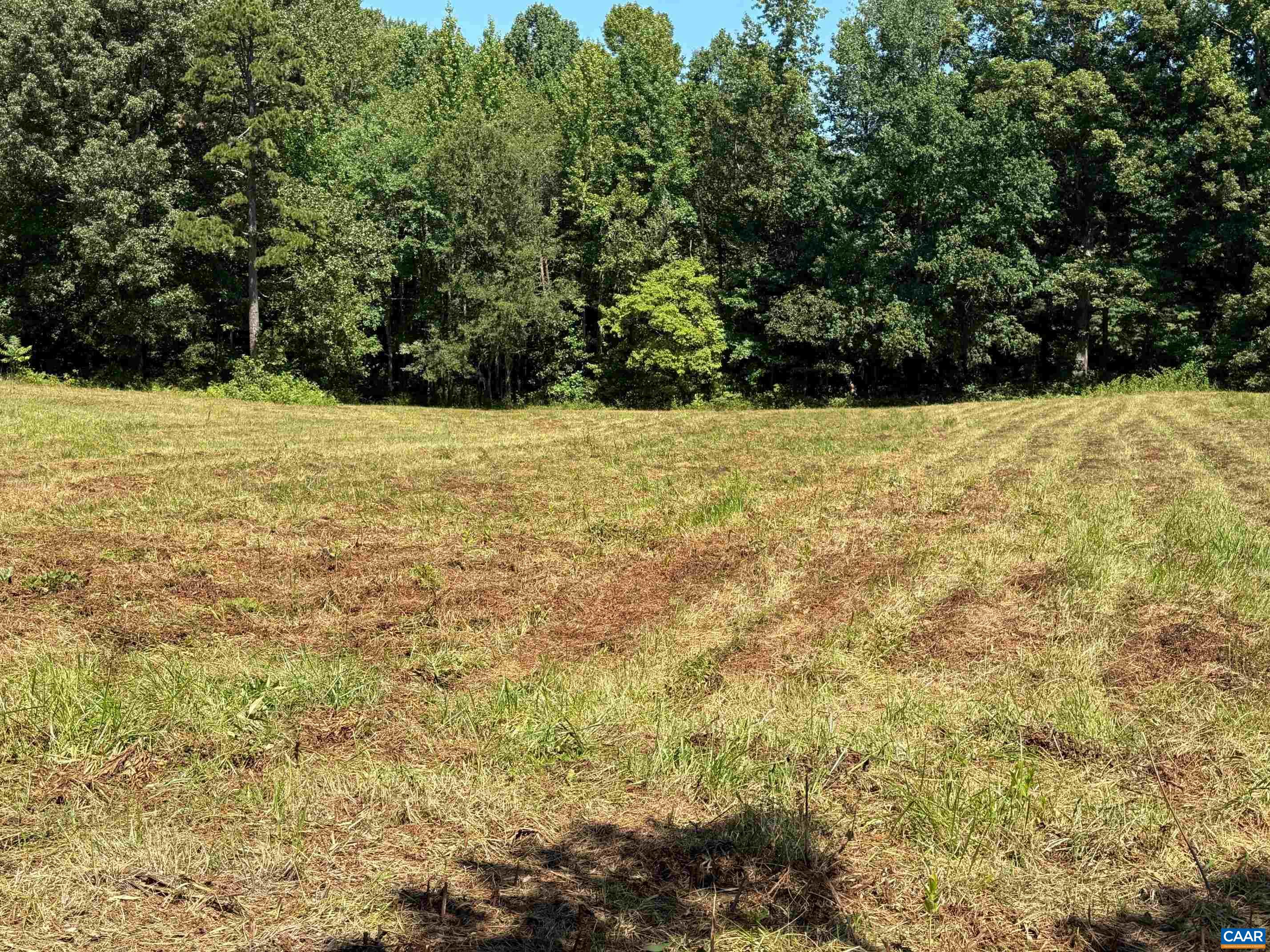 5609 New Line Road Gum Spring, VA 23065 - Photo 46 of 61 Prime Garden Spot