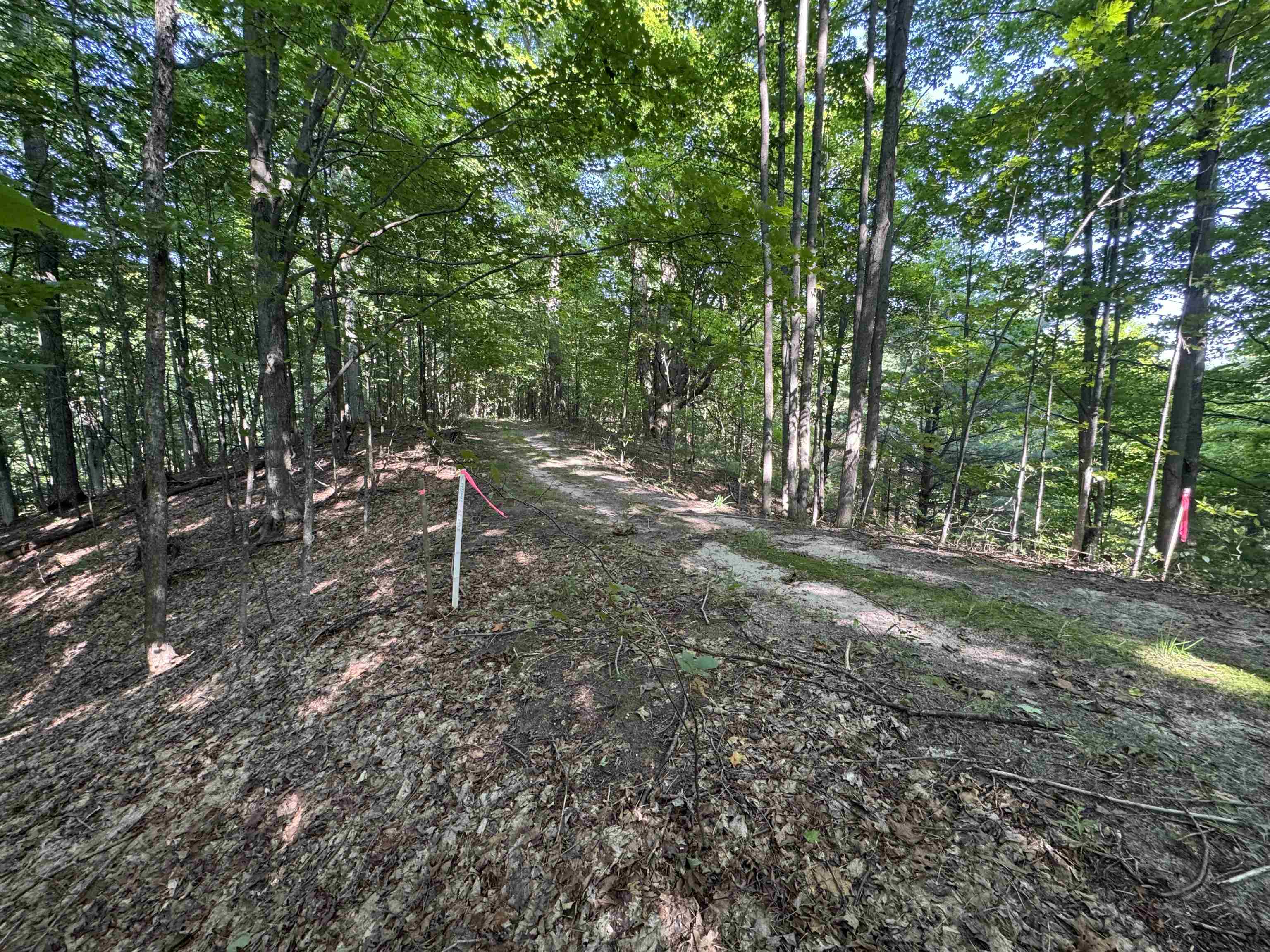 Lot #6 East Bellinger Road, Unit 6 BELLINGER ESTATES (FIN) Cedar, MI 49621 - Photo 14 of 34
