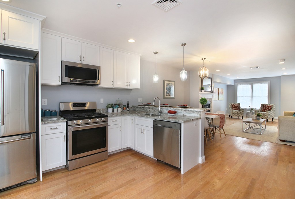 46 Alpine Street, Unit 3 Boston, MA 02119 - Photo 8 of 18 Gallery Image 8