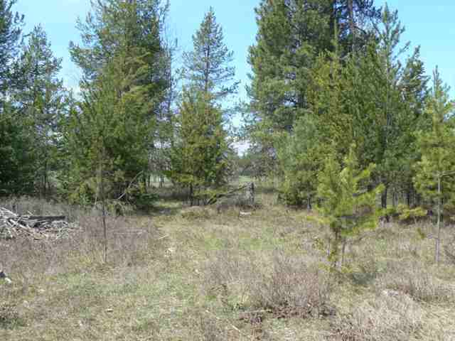 251 Levitch Road Newport, WA 99156 - Photo 2 of 9 Gallery Image 2