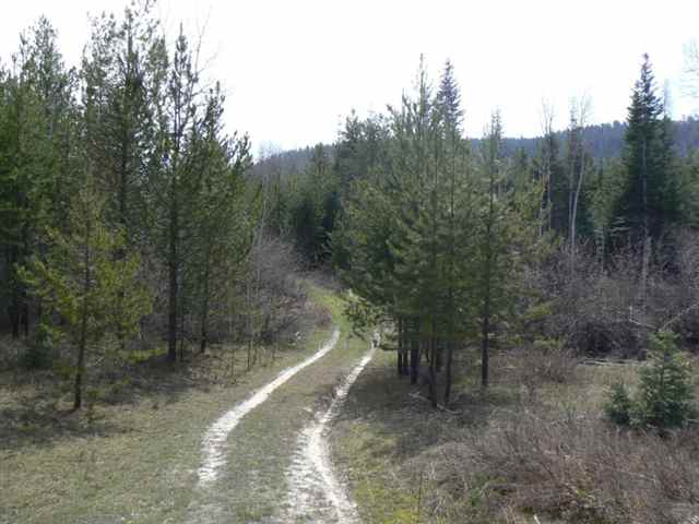 251 Levitch Road Newport, WA 99156 - Photo 5 of 9 Gallery Image 5