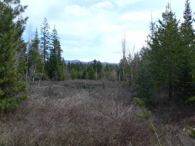 251 Levitch Road Newport, WA 99156 - Photo 9 of 9 Gallery Image 9
