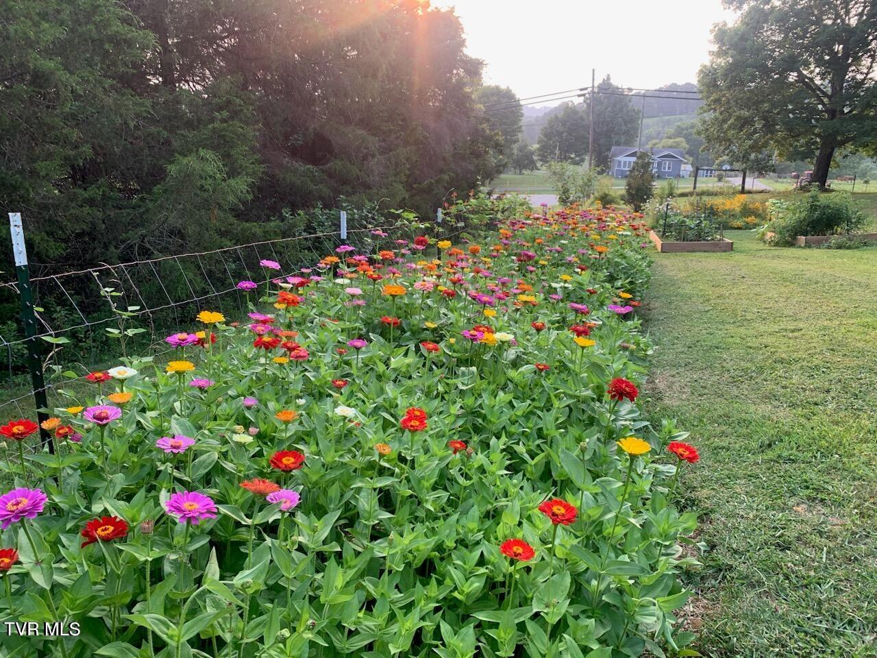 2340 Chuckey Highway Chuckey, TN 37641 - Photo 29 of 47 20241019162142319477000000-o