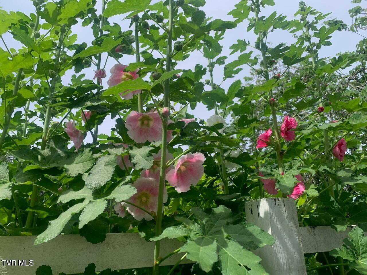 2340 Chuckey Highway Chuckey, TN 37641 - Photo 30 of 47 20241019162140220413000000-o