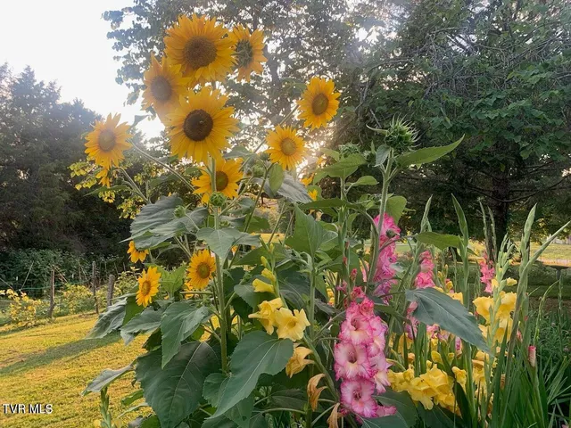 $250,000 | 2340 Chuckey Highway, Chuckey, TN 37641