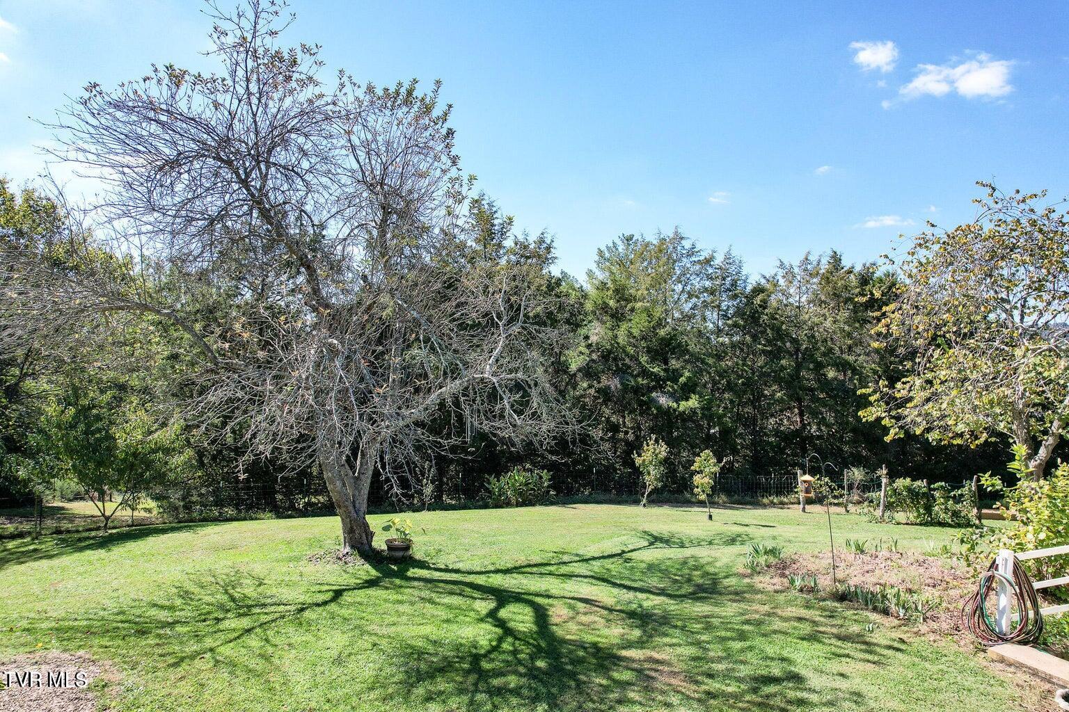 2340 Chuckey Highway Chuckey, TN 37641 - Photo 34 of 47 20241018171627139528000000-o