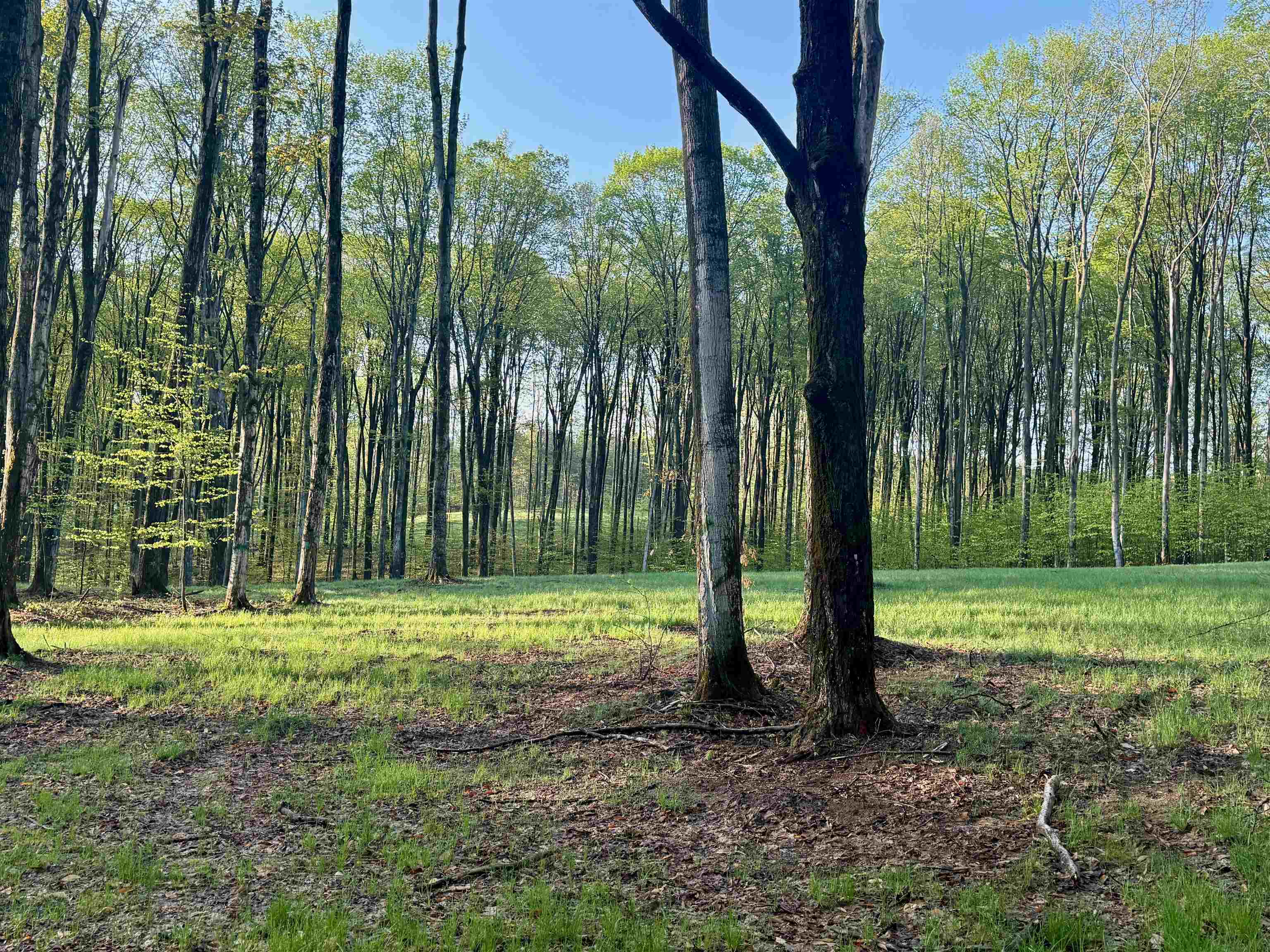 2 South Bright Road, Unit LOT: 2 Maple City, MI 49664 - Photo 8 of 13