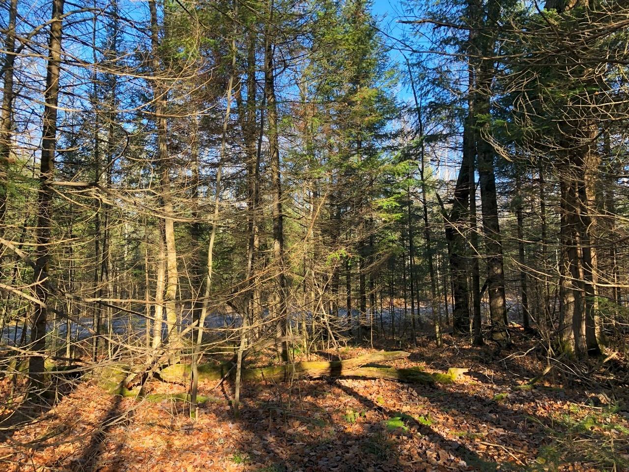 On East Bay Road, Unit LOT 2 Presque Isle, WI 54557 - Photo 3 of 21 Gallery Image 3