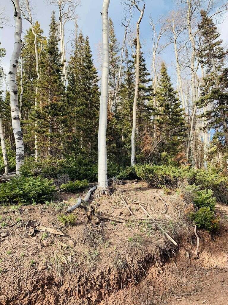 West Village Beaver, UT 84713 - Photo 27 of 27 20210514104022118042000000-o
