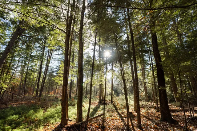 $285,000 | Tbd Tbd Branch View Terrace, Unit LOT 4, Alfred, ME 04002