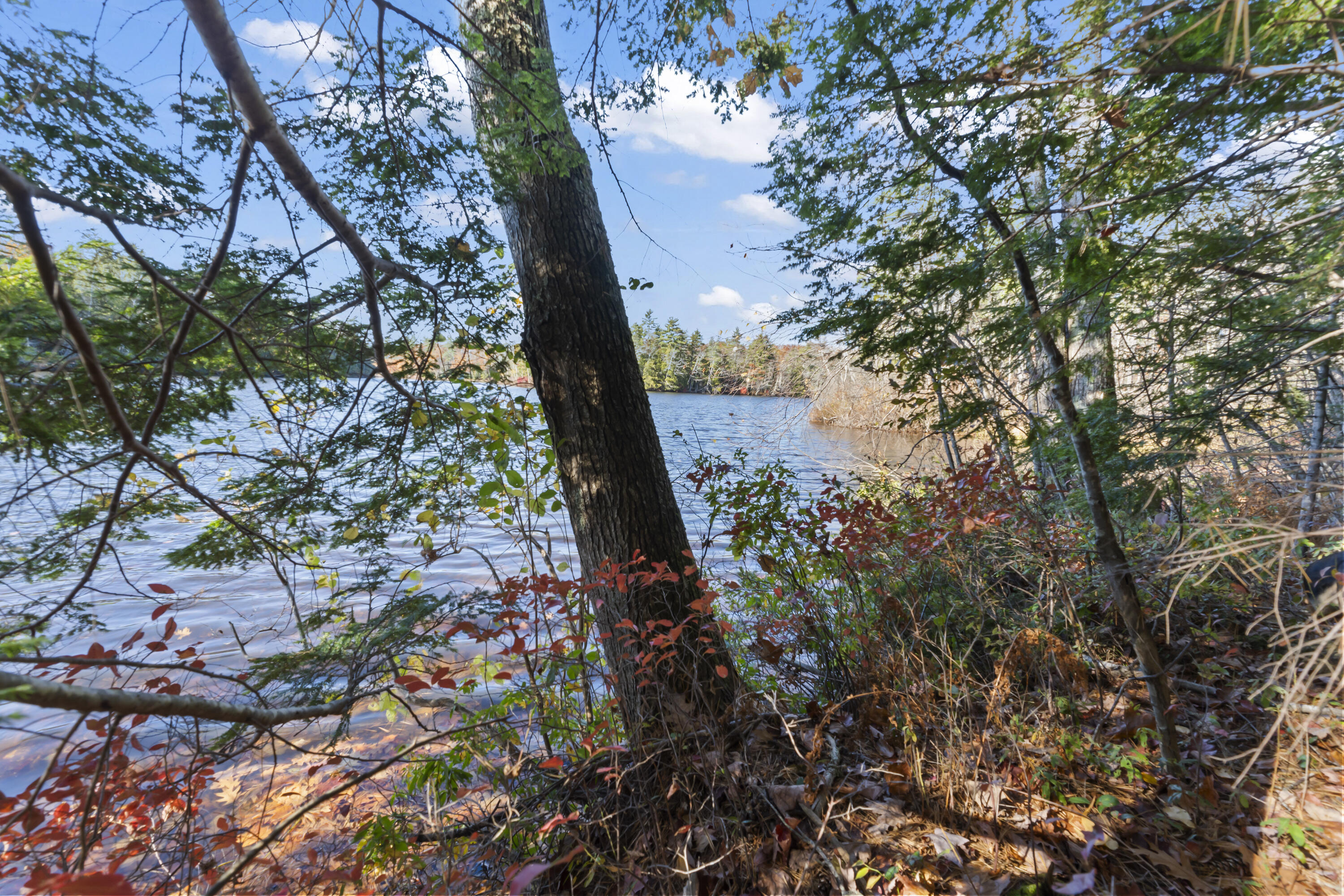 Tbd Tbd Branch View Terrace, Unit LOT 4 Alfred, ME 04002 - Photo 20 of 34 Branch View Estates, Alfred