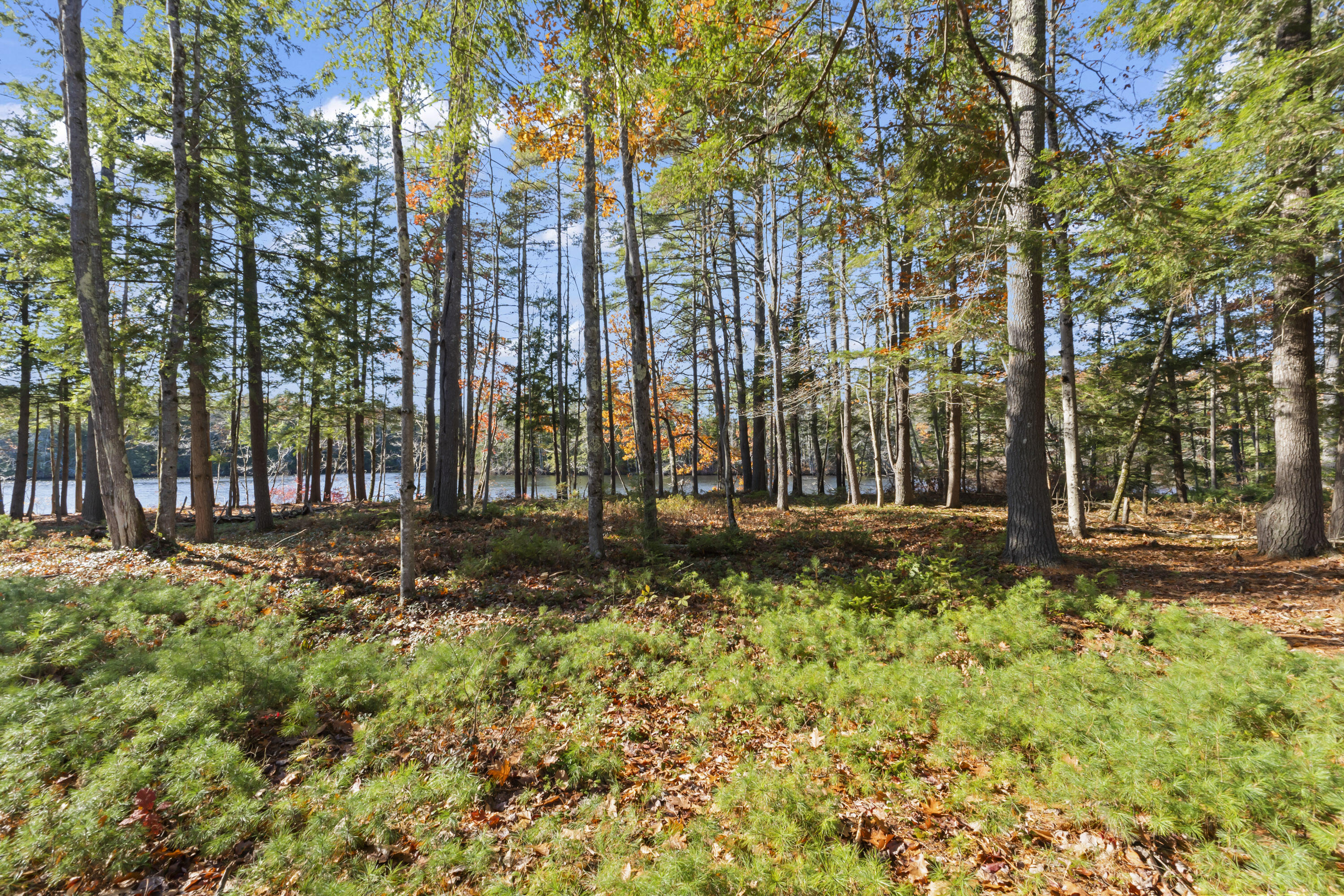 Tbd Tbd Branch View Terrace, Unit LOT 4 Alfred, ME 04002 - Photo 31 of 34 Branch View Estates, Alfred