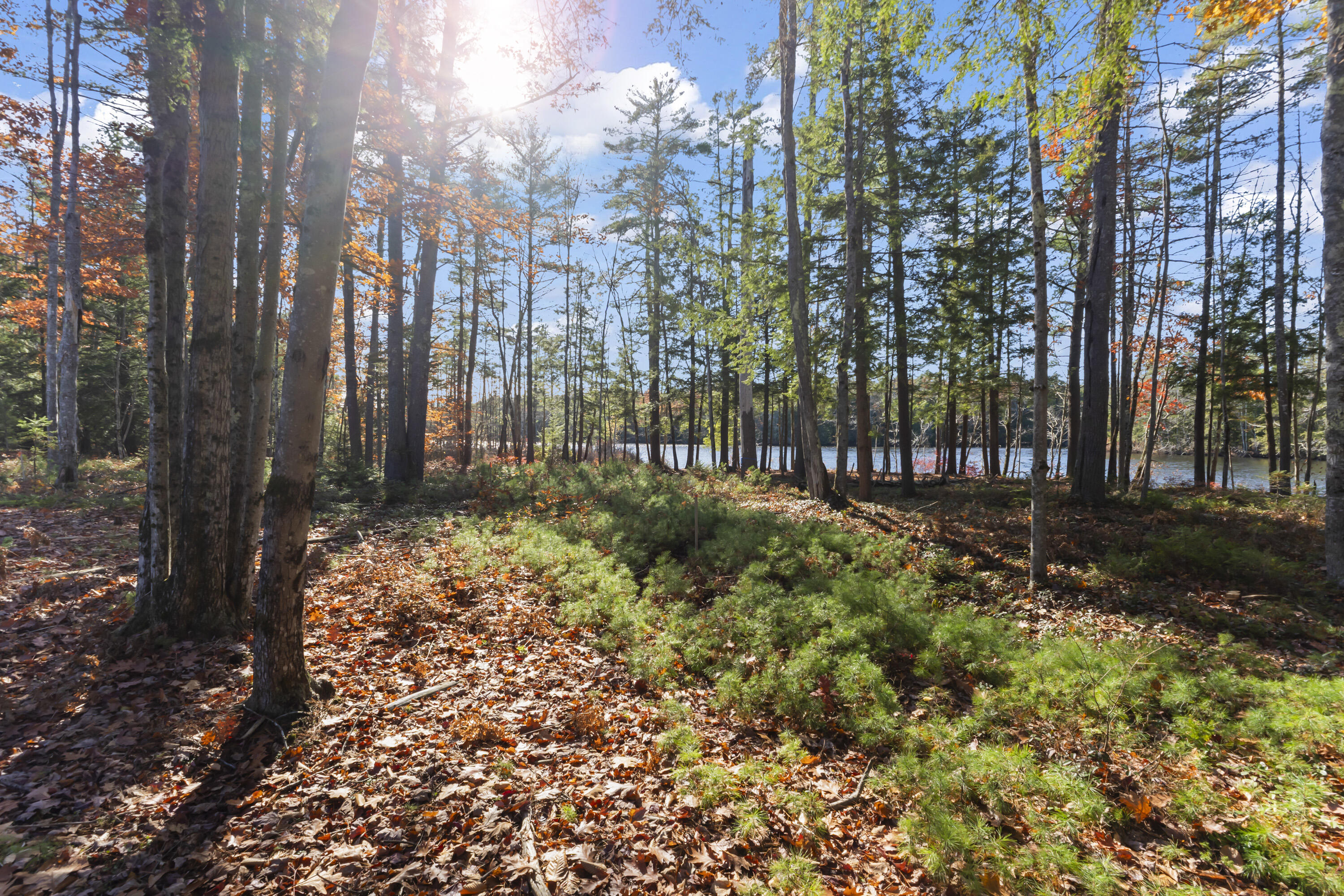 Tbd Tbd Branch View Terrace, Unit LOT 4 Alfred, ME 04002 - Photo 32 of 34 Branch View Estates, Alfred