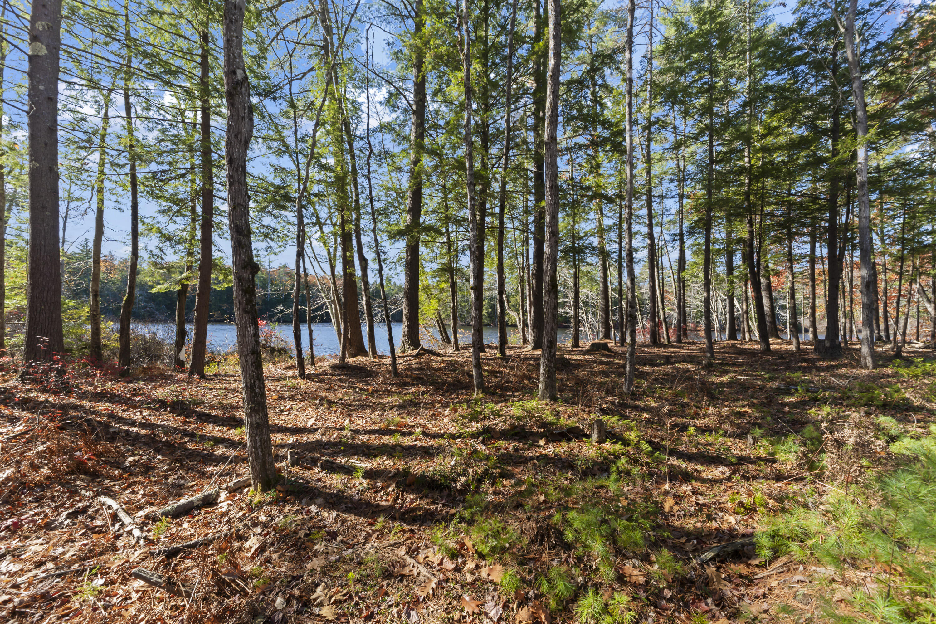 Tbd Tbd Branch View Terrace, Unit LOT 4 Alfred, ME 04002 - Photo 34 of 34 Branch View Estates, Alfred