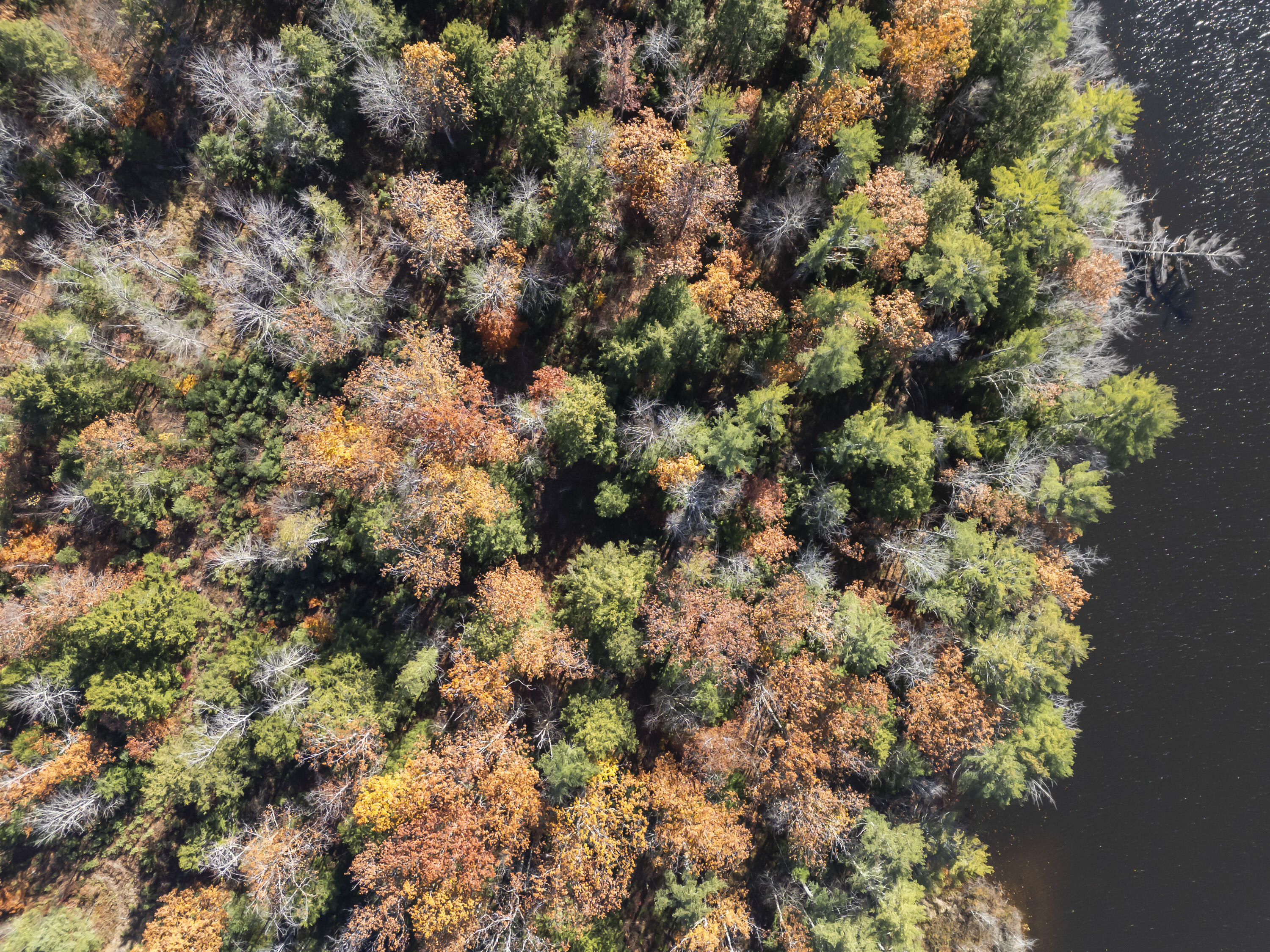 Tbd Tbd Branch View Terrace, Unit LOT 4 Alfred, ME 04002 - Photo 5 of 34 Branch View Estates_122 (1)