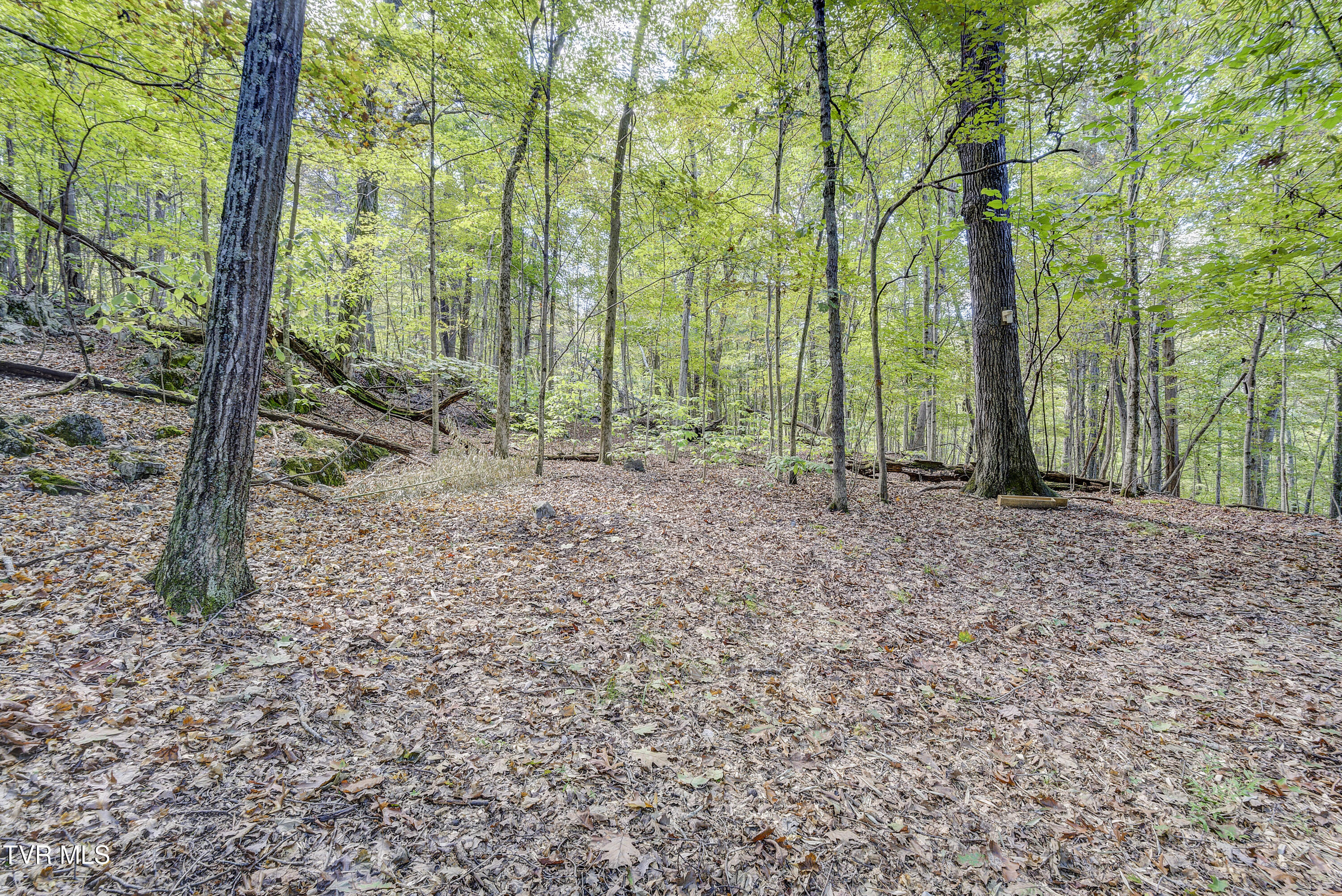 192 Stage Road Kingsport, TN 37664 - Photo 44 of 63 StageRd--38