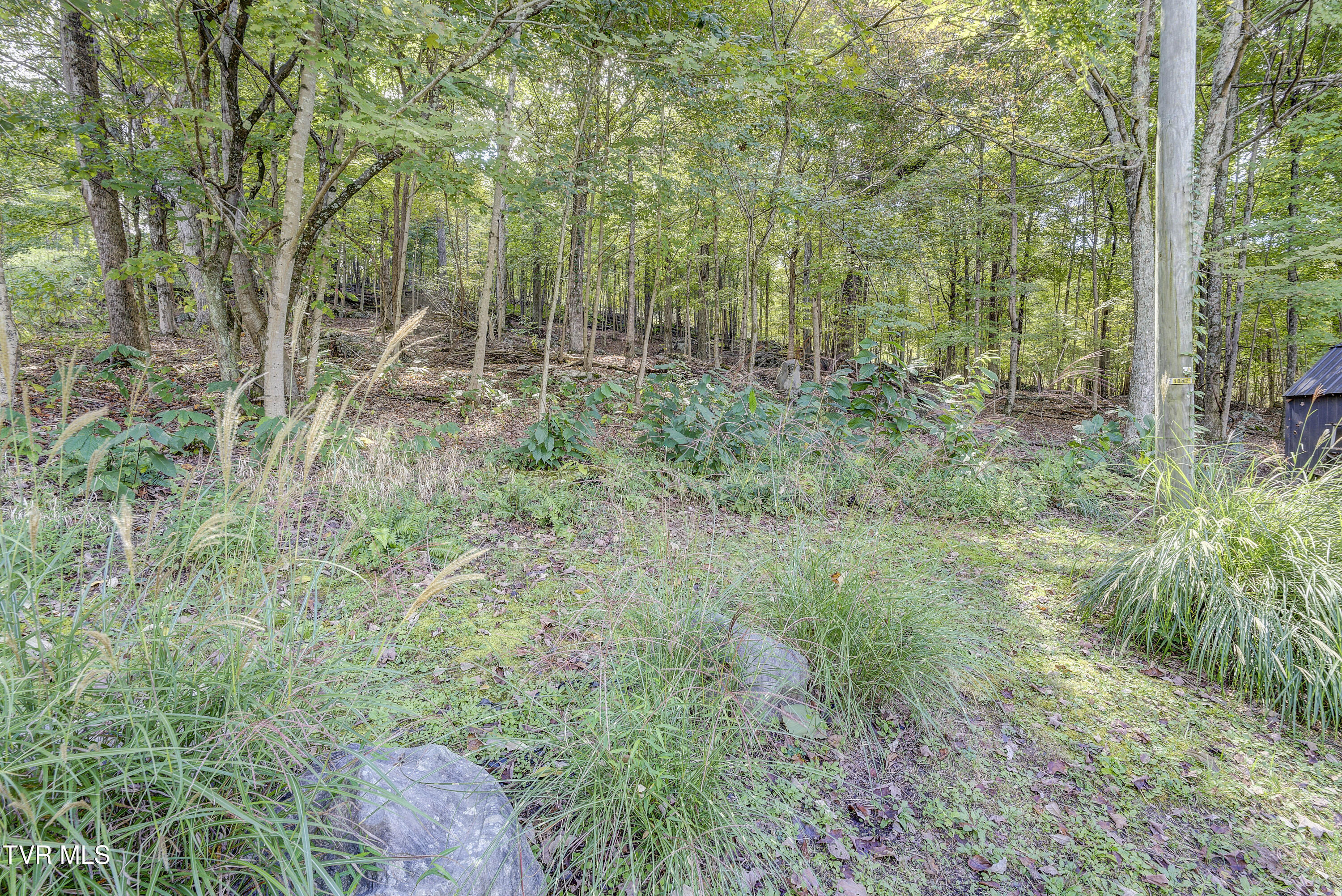 192 Stage Road Kingsport, TN 37664 - Photo 48 of 63 StageRd--42