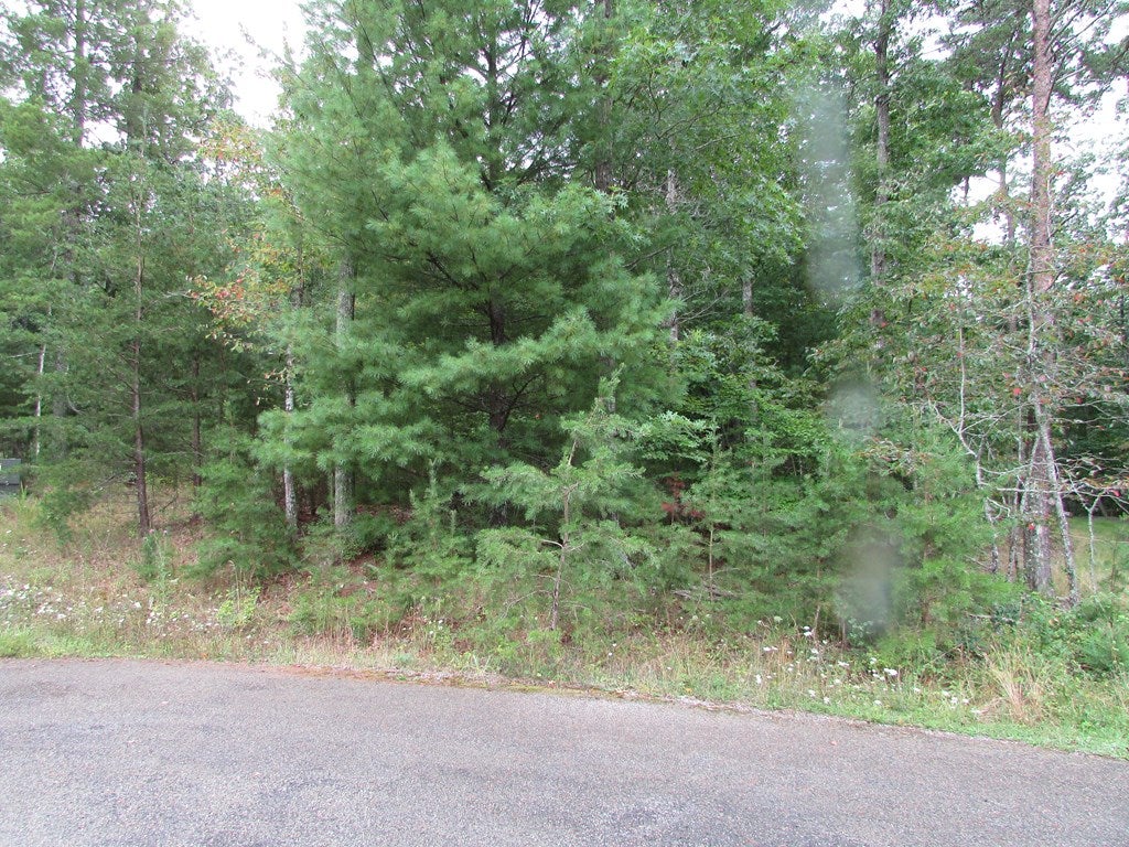 2051 Cold Mountain Road, Unit 8 Radford, VA 24141 - Photo 4 of 15 Gallery Image 4