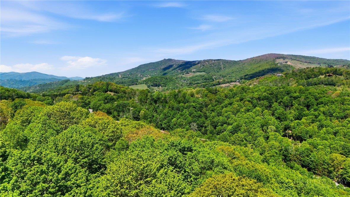 Lot #33 Snow Ridge Road Banner Elk, NC 28604 - Photo 10 of 10 Gallery Image 10