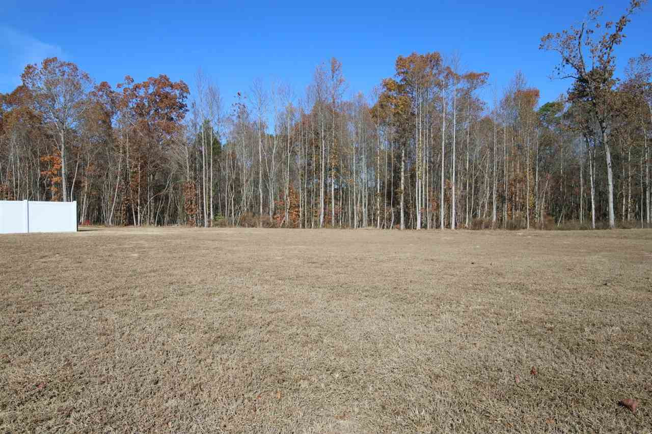 36 Krosley Run Road Clayton, NC 27520 - Photo 27 of 30 Photo 29