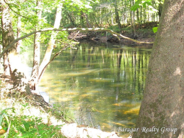 7215 Loop Road Middleville, MI 49333 - Photo 2 of 9 Norway-7