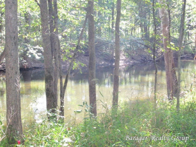 7215 Loop Road Middleville, MI 49333 - Photo 3 of 9 Norway-6