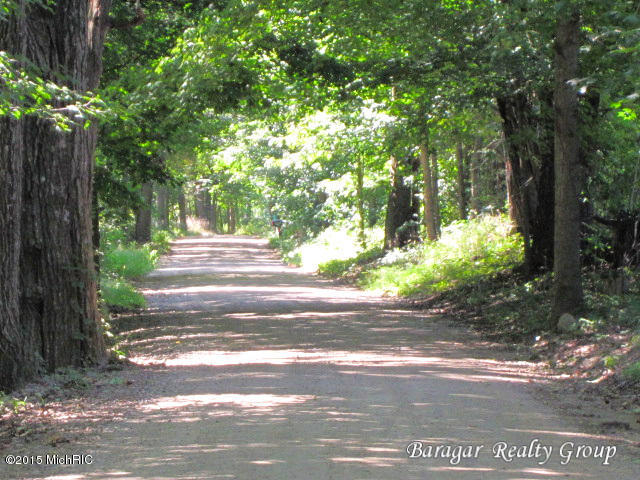7215 Loop Road Middleville, MI 49333 - Photo 4 of 9 Norway-3