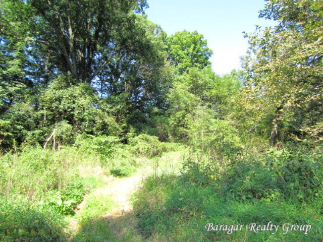 7215 Loop Road Middleville, MI 49333 - Photo 5 of 9 Norway-5
