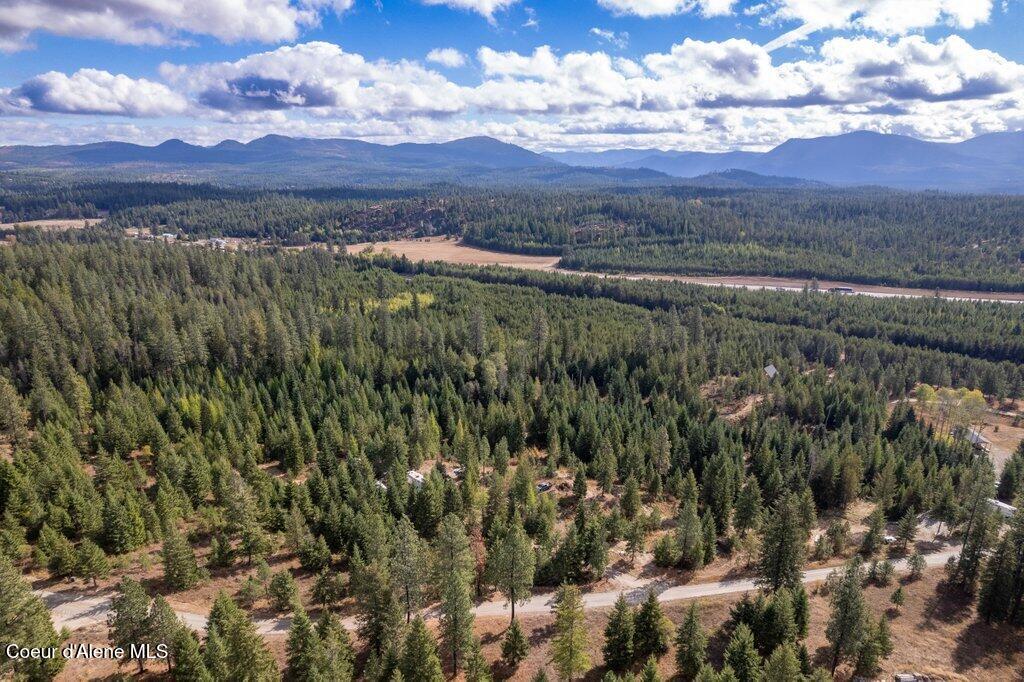 Lot 2 Amaze Way Athol, ID 83801 - Photo 11 of 21 Aerial Amaze way 4