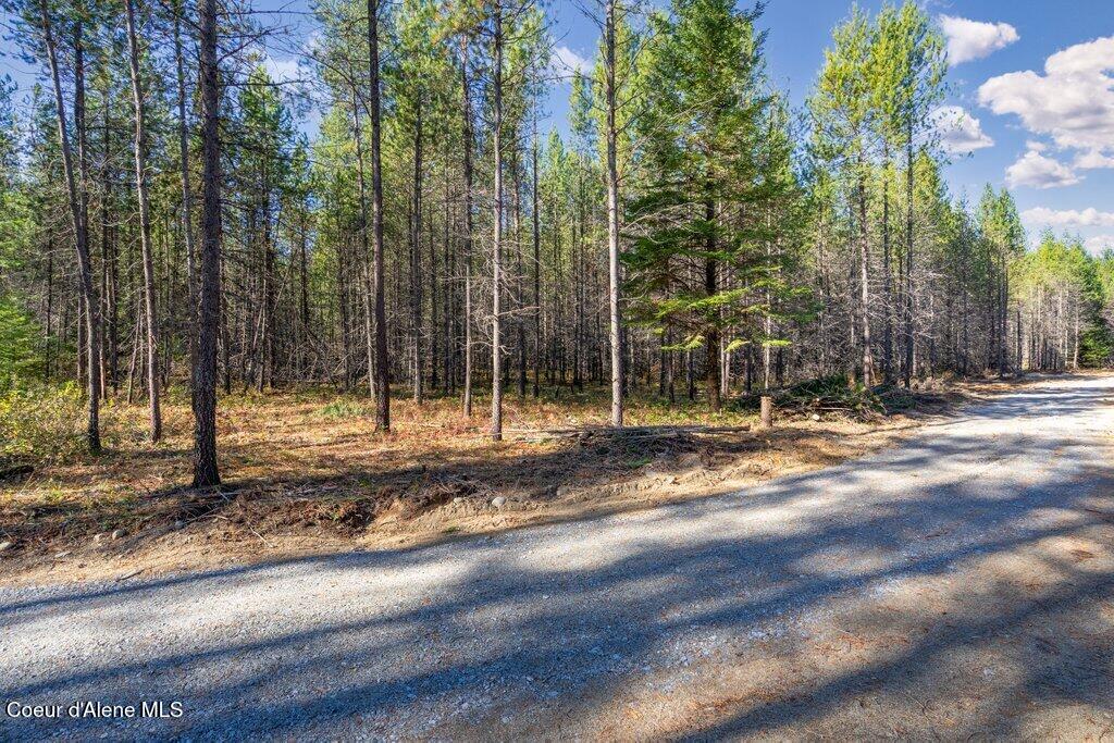 Lot 2 Amaze Way Athol, ID 83801 - Photo 3 of 21 Amaze Way (2)