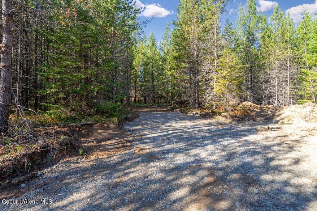 Lot 2 Amaze Way Athol, ID 83801 - Photo 5 of 21 Lot 2