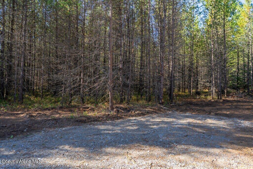 Lot 2 Amaze Way Athol, ID 83801 - Photo 7 of 21 Lot 2 (3)