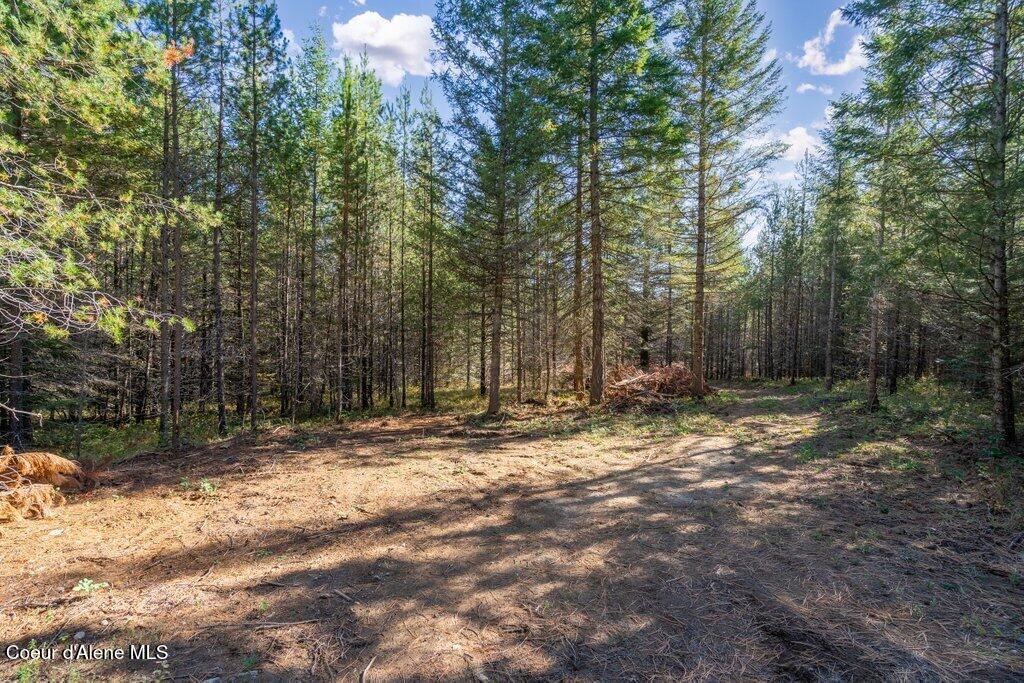 Lot 2 Amaze Way Athol, ID 83801 - Photo 8 of 21 Lot 2 (5)