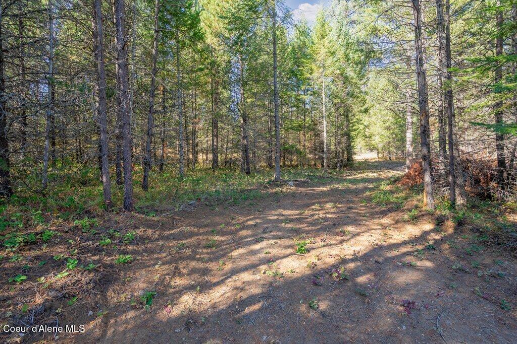 Lot 2 Amaze Way Athol, ID 83801 - Photo 9 of 21 Lot 2 (6)