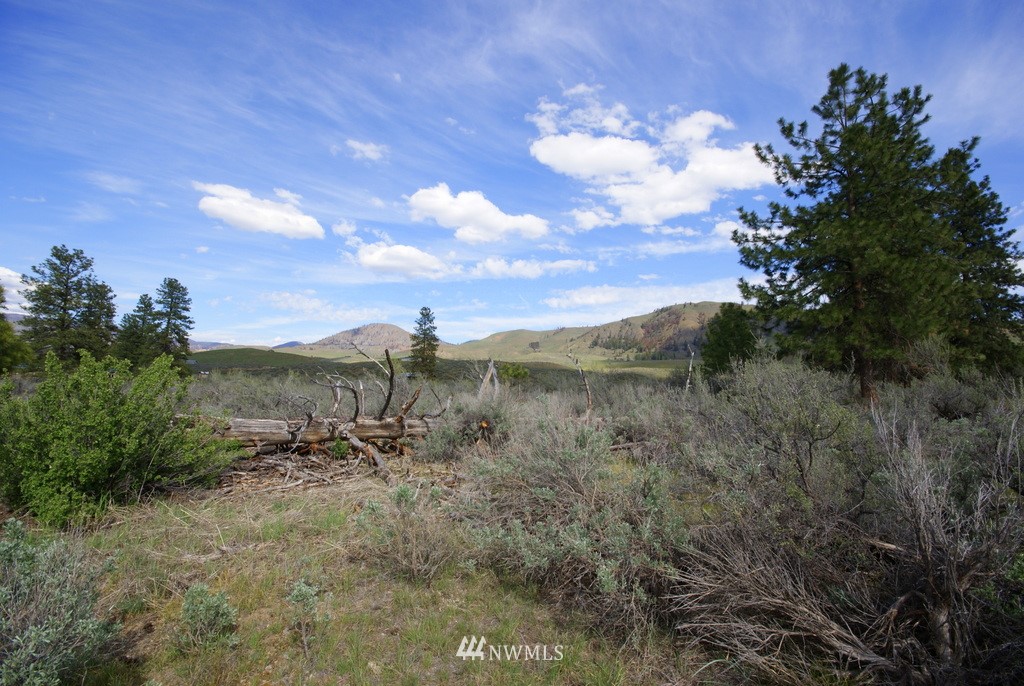 56 Lower Beaver Creek Road Twisp, WA 98856 - Photo 1 of 24 Gallery Image 1
