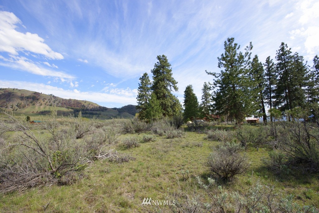 56 Lower Beaver Creek Road Twisp, WA 98856 - Photo 2 of 24 Gallery Image 2