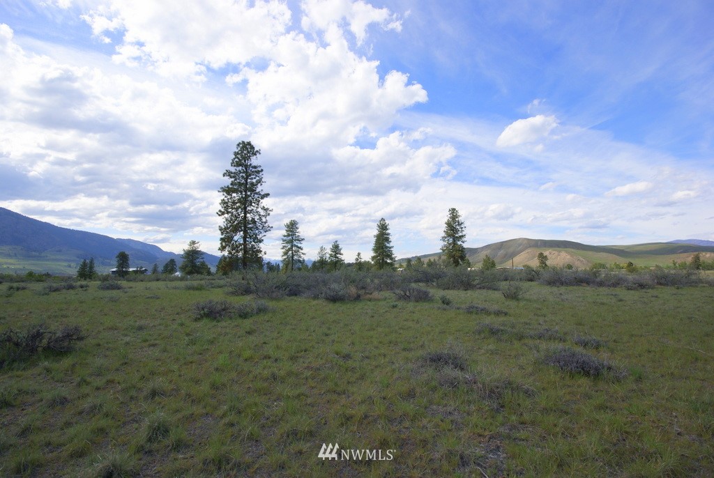 56 Lower Beaver Creek Road Twisp, WA 98856 - Photo 11 of 24 Gallery Image 11