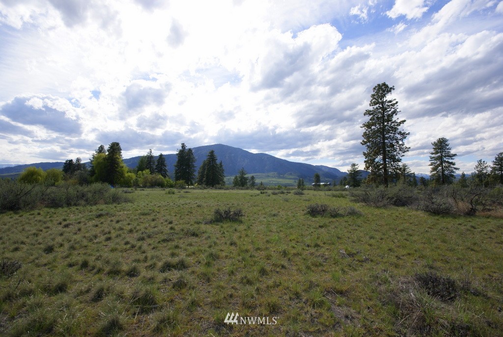 56 Lower Beaver Creek Road Twisp, WA 98856 - Photo 12 of 24 Gallery Image 12