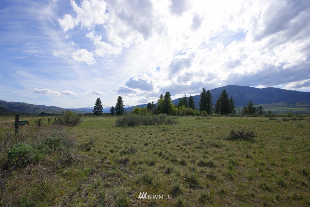 56 Lower Beaver Creek Road Twisp, WA 98856 - Photo 13 of 24 Gallery Image 13