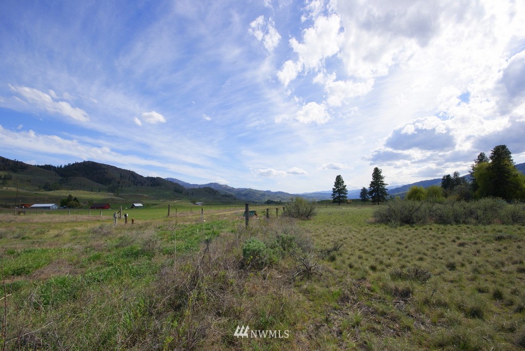 56 Lower Beaver Creek Road Twisp, WA 98856 - Photo 14 of 24 Gallery Image 14