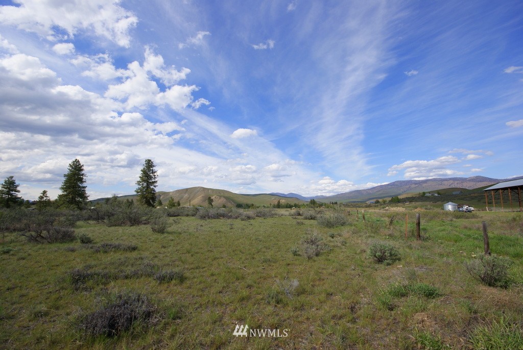 56 Lower Beaver Creek Road Twisp, WA 98856 - Photo 17 of 24 Gallery Image 17