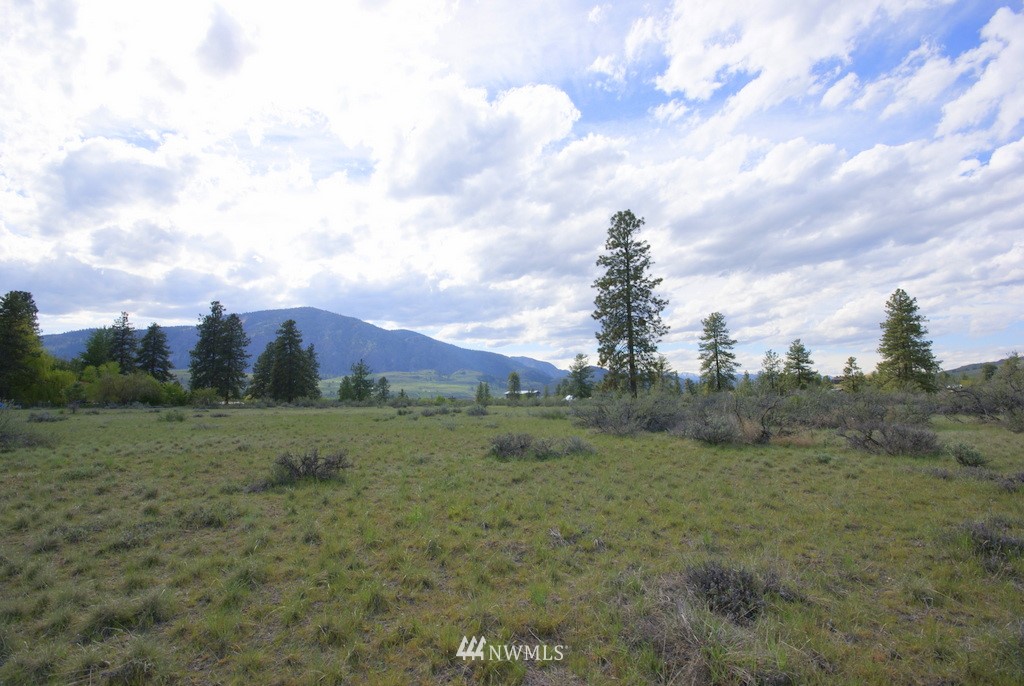 56 Lower Beaver Creek Road Twisp, WA 98856 - Photo 18 of 24 Gallery Image 18