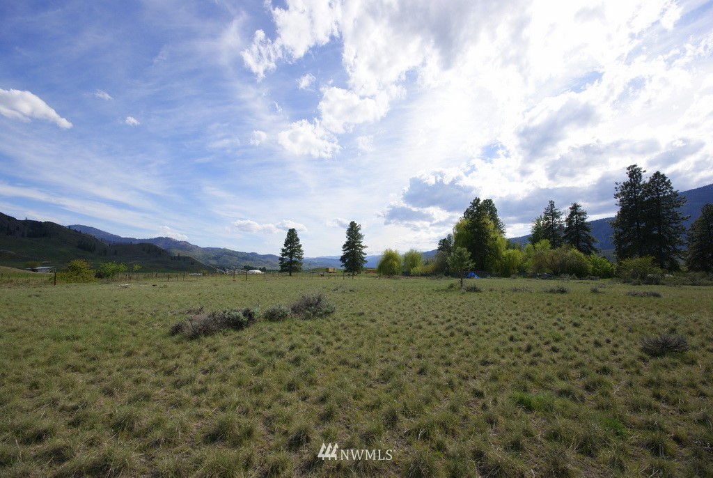 56 Lower Beaver Creek Road Twisp, WA 98856 - Photo 19 of 24 Gallery Image 19
