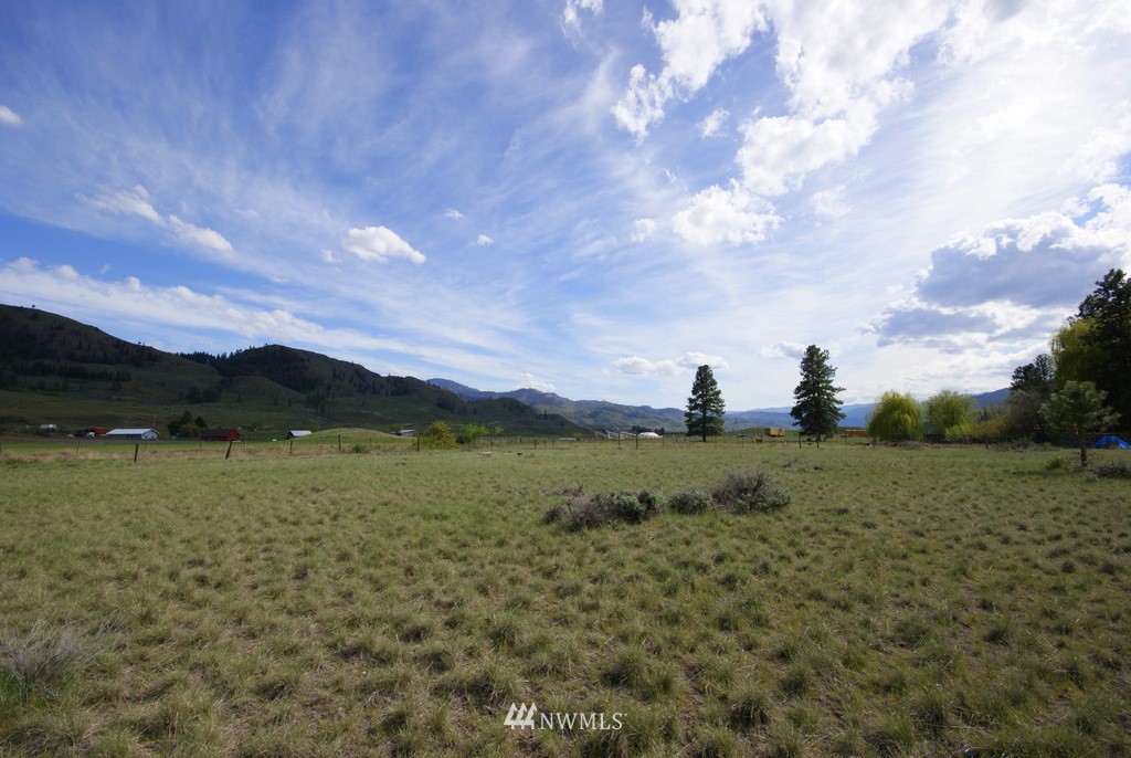 56 Lower Beaver Creek Road Twisp, WA 98856 - Photo 20 of 24 Gallery Image 20